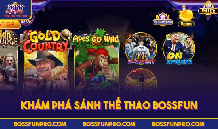Khám Phá Sảnh Thể Thao BOSSFUN