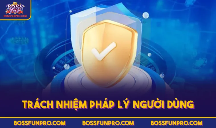 Trách nhiệm pháp lý người dùng